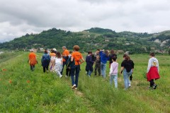 WhatsApp-Image-2024-05-13-at-17.50.07