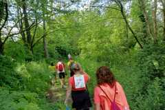 IMG-20240520-WA0027