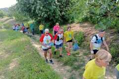 IMG-20240520-WA0095