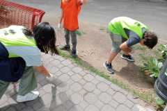 IMG-20230608-WA0042